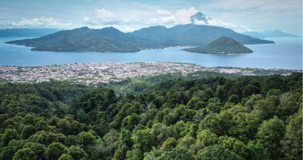 Индонезид 7.4 магнитудын хүчтэй газар хөдөлж, цунамийн түгшүүр зарлалаа